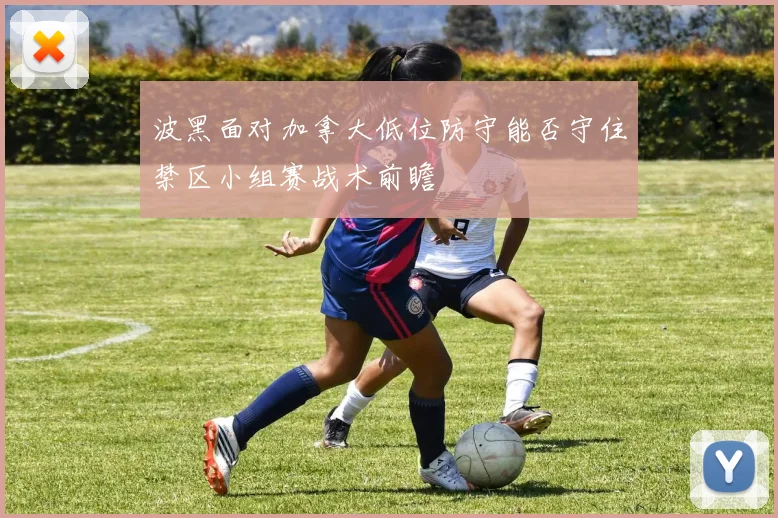 波黑面对加拿大低位防守能否守住禁区小组赛战术前瞻